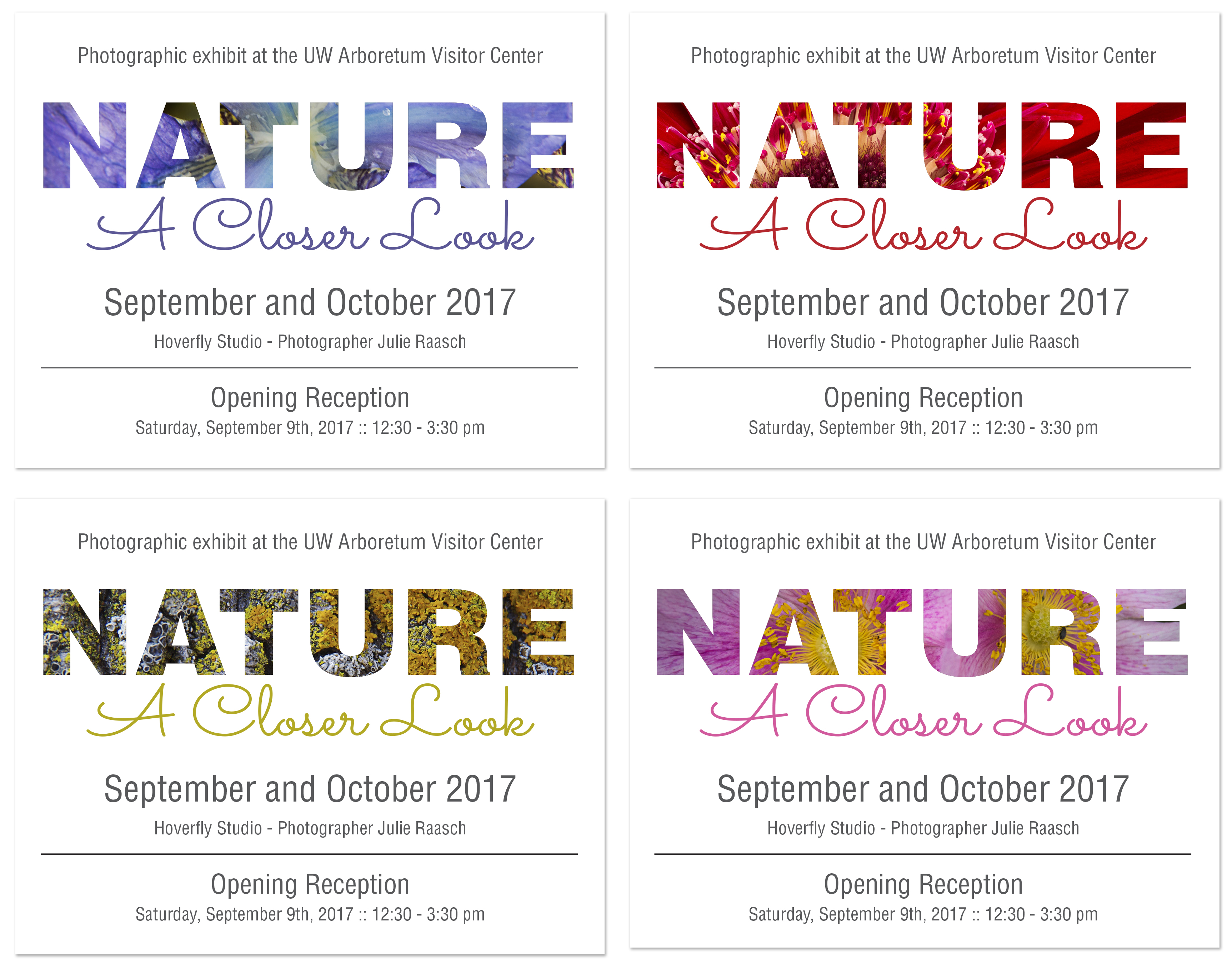 nature a closer look cards