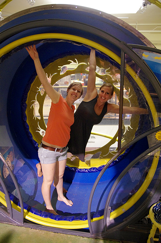 2 woman in a human sized hampster wheel